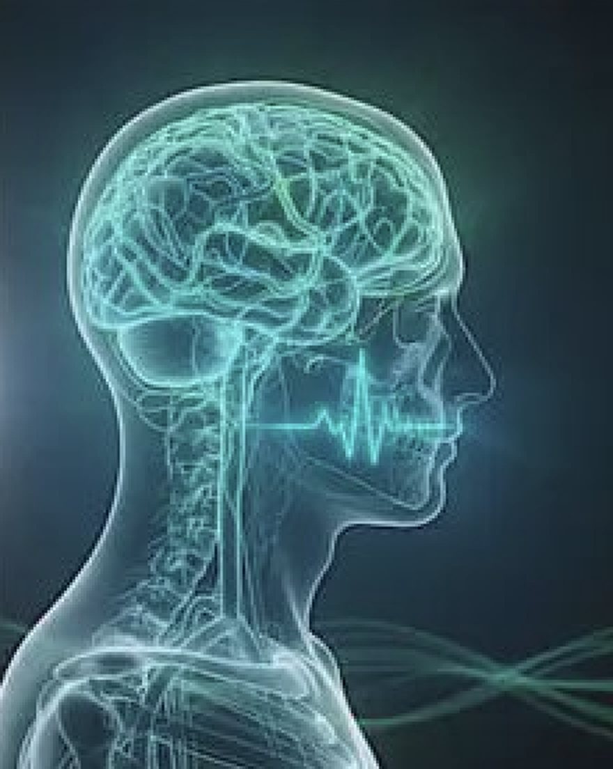 Ilustración de una cabeza con el cerebro y el sistema nervioso en tonos turquesa